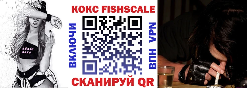 Купить закладки  Чекалин  Cocaine Fish Scale 