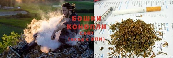 дживик Баксан
